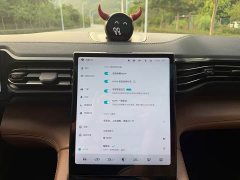 NIO ES8 2020 580KM Seven-Seater - ფოტო 11