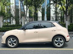 ORA Good Cat 2025 430km Deluxe Edition - ფოტო 10