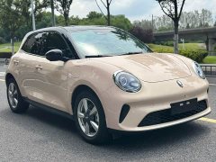 ORA Good Cat 2025 430km Deluxe Edition - ფოტო 4