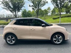 ORA Good Cat 2025 430km Deluxe Edition - ფოტო 5