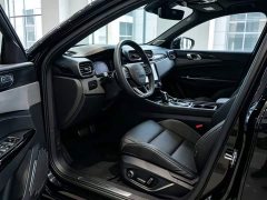 Lynk & Co Geely Lynk & Co 03 2.0T Diesel Automatic Champion Edition - ფოტო 5