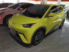 BYD Seagull Glory Edition 305km Freedom Version - ფოტო 1