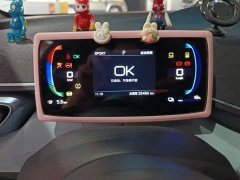 BYD Seagull Glory Edition 305km Freedom Version - ფოტო 14