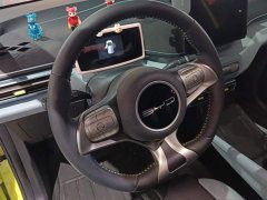BYD Seagull Glory Edition 305km Freedom Version - ფოტო 15