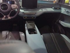 BYD Seagull Glory Edition 305km Freedom Version - ფოტო 16