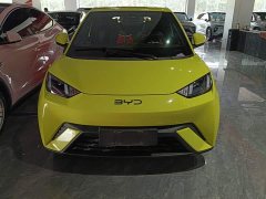 BYD Seagull Glory Edition 305km Freedom Version - ფოტო 2