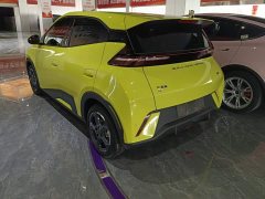 BYD Seagull Glory Edition 305km Freedom Version - ფოტო 3