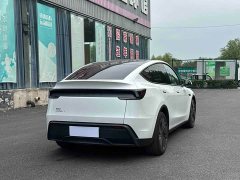 Tesla Model Y Rear-Wheel Drive - ფოტო 6