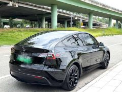 Tesla Model Y Rear-Wheel Drive - ფოტო 3