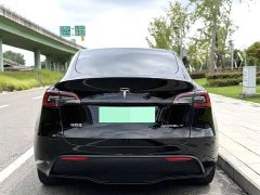 Tesla Model Y Rear-Wheel Drive - ფოტო 4