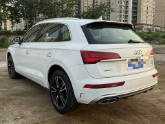 Audi Q5L 40 TFSI Luxury Dynamic - ფოტო 10