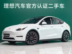 Tesla Model Y High Performance All-Wheel Drive - ფოტო 1