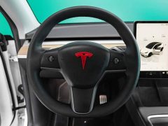 Tesla Model Y High Performance All-Wheel Drive - ფოტო 12