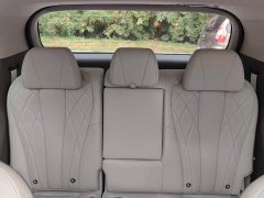 Denza BYD Denza D9 2022 DM-i 1040 Premium - ფოტო 7