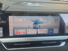Geely Xingyue L 2.0TD High-Power Automatic FWD Horizon Edition - ფოტო 13