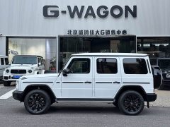 Mercedes-Benz G-Class G 350 - ფოტო 2
