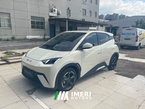 2023 BYD Seagull Flying Edition - ავტომობილი ჩინეთიდან