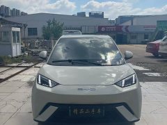BYD Seagull Flying Edition - ფოტო 2