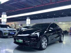 Tesla Model Y 2021 Standard Range RWD - ფოტო 1