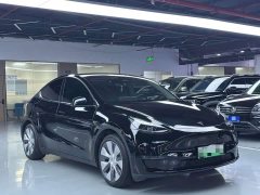 Tesla Model Y 2021 Standard Range RWD - ფოტო 3