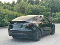 Tesla Model Y Rear-Wheel Drive - ფოტო 4