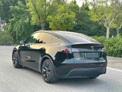 Tesla Model Y Rear-Wheel Drive - ფოტო 7