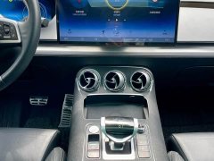 Denza X 2020 PHEV Premier Edition - ფოტო 10