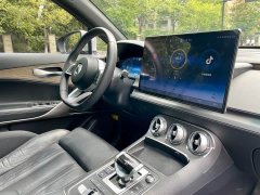 Denza X 2020 PHEV Premier Edition - ფოტო 19