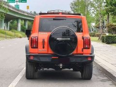 Tank 300 2023 Off-Road Edition 2.0T Conqueror - ფოტო 8
