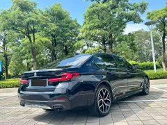 BMW 5 Series Facelift 530Li Luxury M Sport Package - ფოტო 8