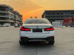 BMW 5 Series 530Li Premier M Sport Package - ფოტო 8