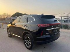 Haval H6 Third Generation 1.5T Automatic Two-Wheel Drive Max - ფოტო 8