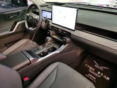 Toyota Wildland 2.0L PRO - ფოტო 9