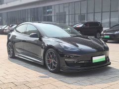 Tesla Model 3 Performance All-Wheel Drive - ფოტო 3