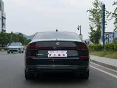 Volkswagen Passat 380TSI Starry Sky Dragon Ascendant Edition - ფოტო 8