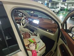 ORA Good Cat 401km Deluxe 135kW - ფოტო 19