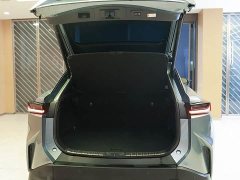 Lexus RZ 450e AWD Luxury Edition - ფოტო 4