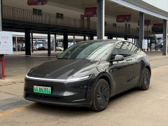Tesla Model Y Rear-Wheel Drive - ფოტო 1
