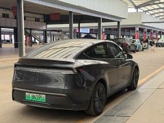 Tesla Model Y Rear-Wheel Drive - ფოტო 10