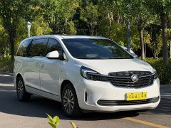 Buick GL8 Land Business Class 652T Luxury - ფოტო 3
