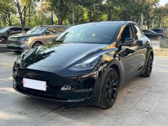 Tesla Model Y Long Range All-Wheel Drive - фото 1