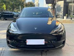 Tesla Model Y Long Range All-Wheel Drive - фото 2