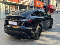 Tesla Model Y Long Range All-Wheel Drive - фото 9