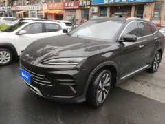 BYD Song Plus New Energy DM-i 110km Flagship Honors Edition - ფოტო 1