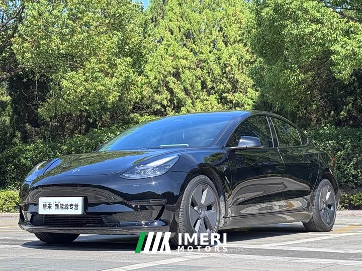 Tesla Model 3 Standard Range RWD Upgrade 3D6