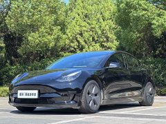 Tesla Model 3 2021 Standard Range RWD Upgrade 3D6 - ფოტო 1