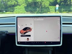 Tesla Model 3 2021 Standard Range RWD Upgrade 3D6 - ფოტო 17