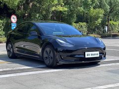 Tesla Model 3 2021 Standard Range RWD Upgrade 3D6 - ფოტო 3
