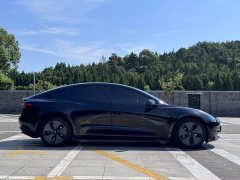 Tesla Model 3 2021 Standard Range RWD Upgrade 3D6 - ფოტო 4