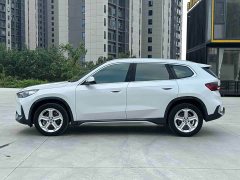 BMW X1 sDrive20Li X Design Package - ფოტო 7